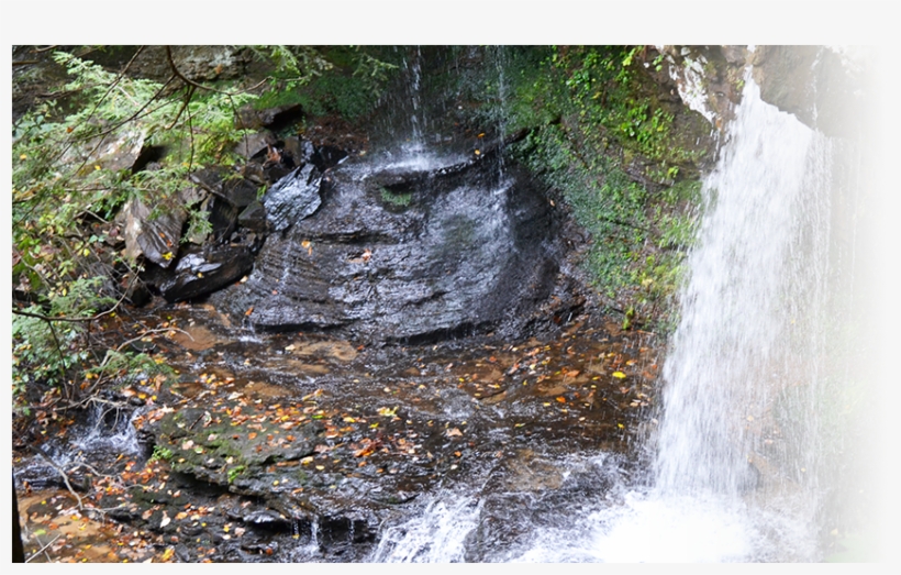 Home - Tributary, transparent png #1075591