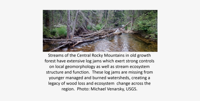 Nutrient Retention And Productivity In Rocky Mountain - Tributary, transparent png #1075620