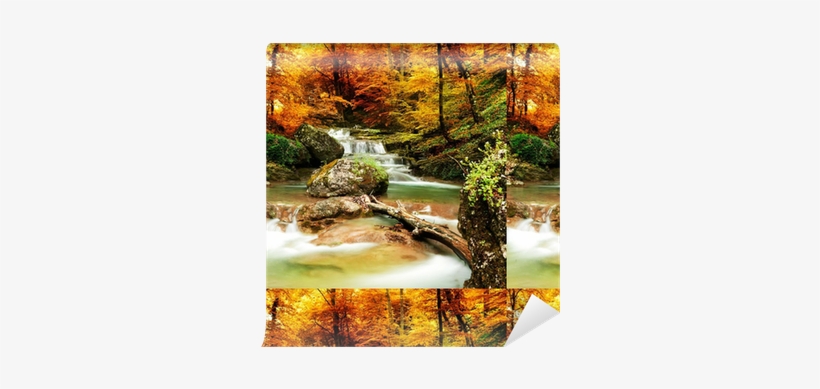 Autumn Creek Woods With Yellow Trees Wallpaper • Pixers® - Autumn Stream Shower Curtain, transparent png #1075638