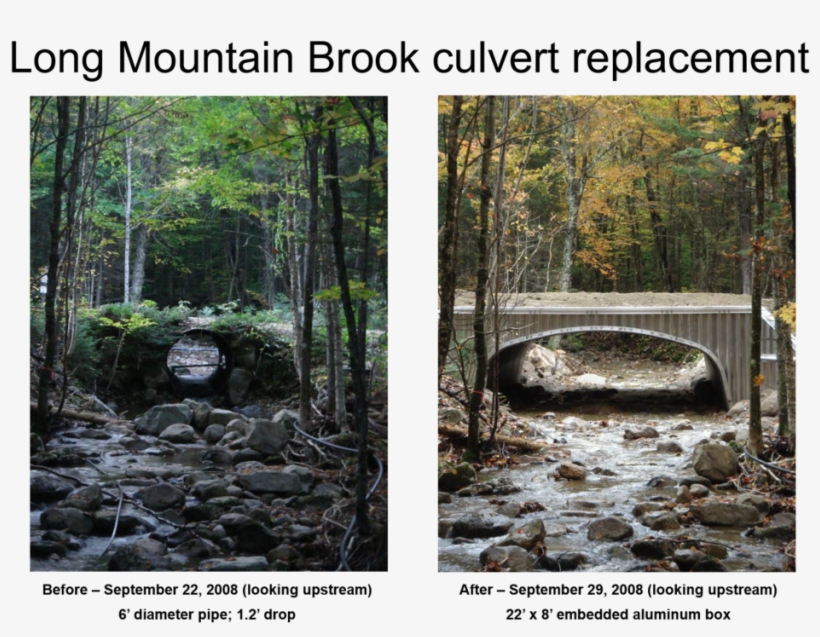 Picture2 - Grove, transparent png #1075641