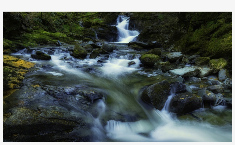 Score 50%, transparent png #1076018