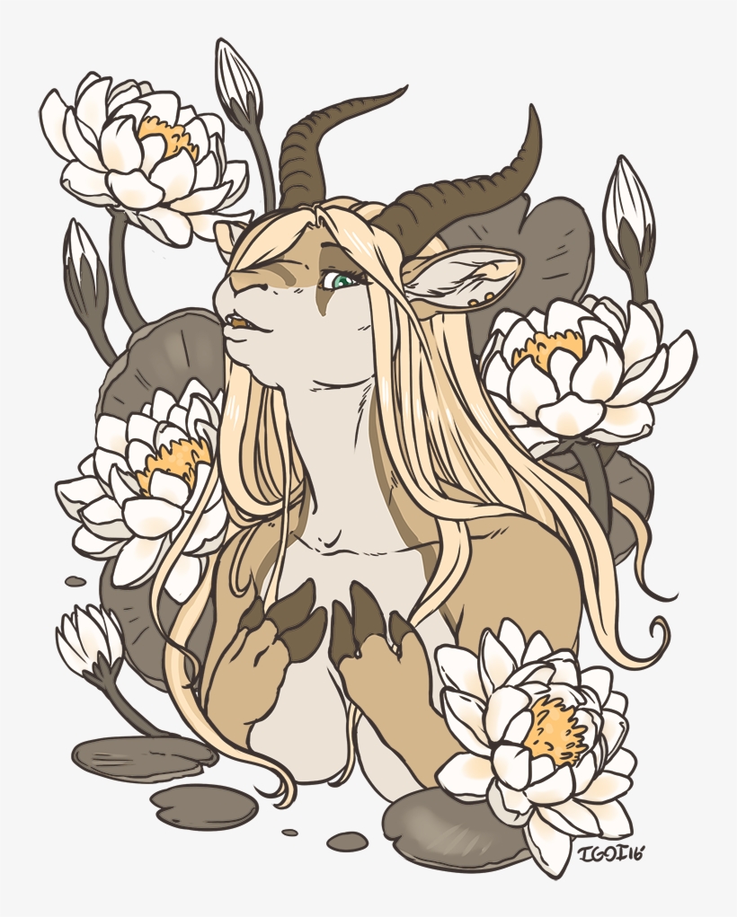 Water Lillies - Cartoon, transparent png #1076597