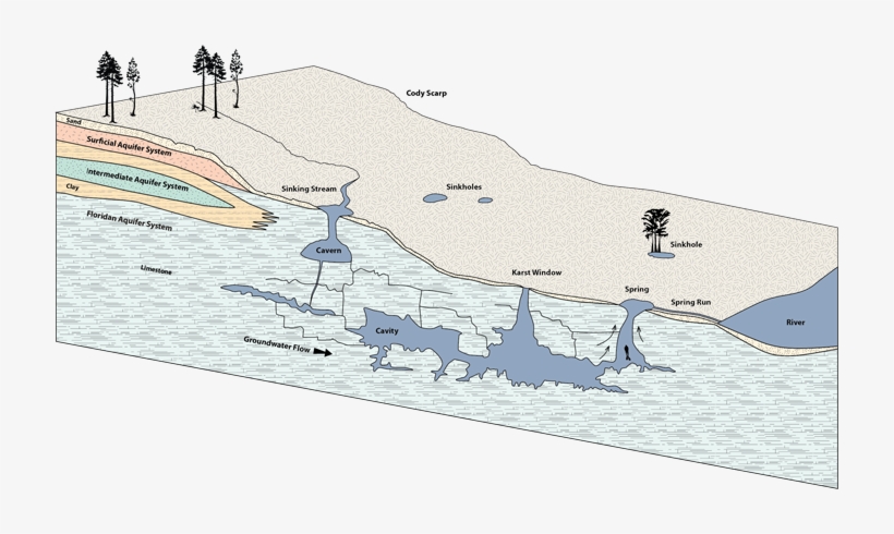 Cross Section - Spring In A River, transparent png #1076645