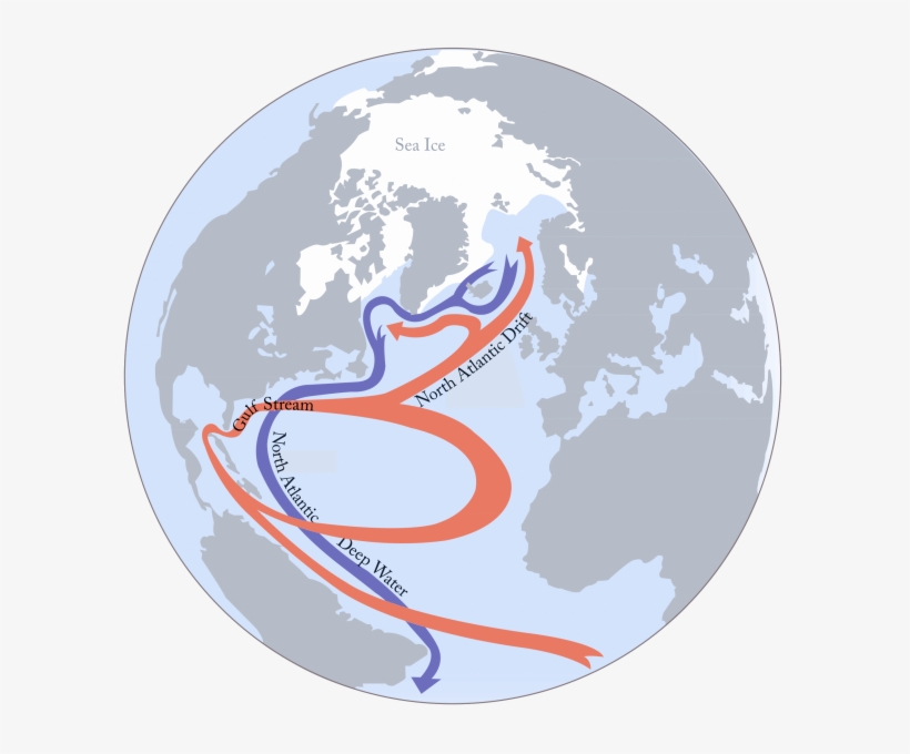 The Underestimated Danger Of A Breakdown Of The Gulf - Atlantic Meridional Overturning Circulation Amoc, transparent png #1076758