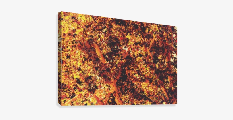 Autumn Leaves Texture With Golden Light Abstract Background - Printing, transparent png #1077369