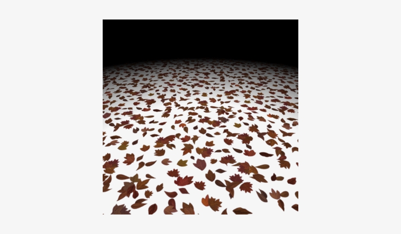 Dead Leaf Texture Set - Dead Leaf Png, transparent png #1077376