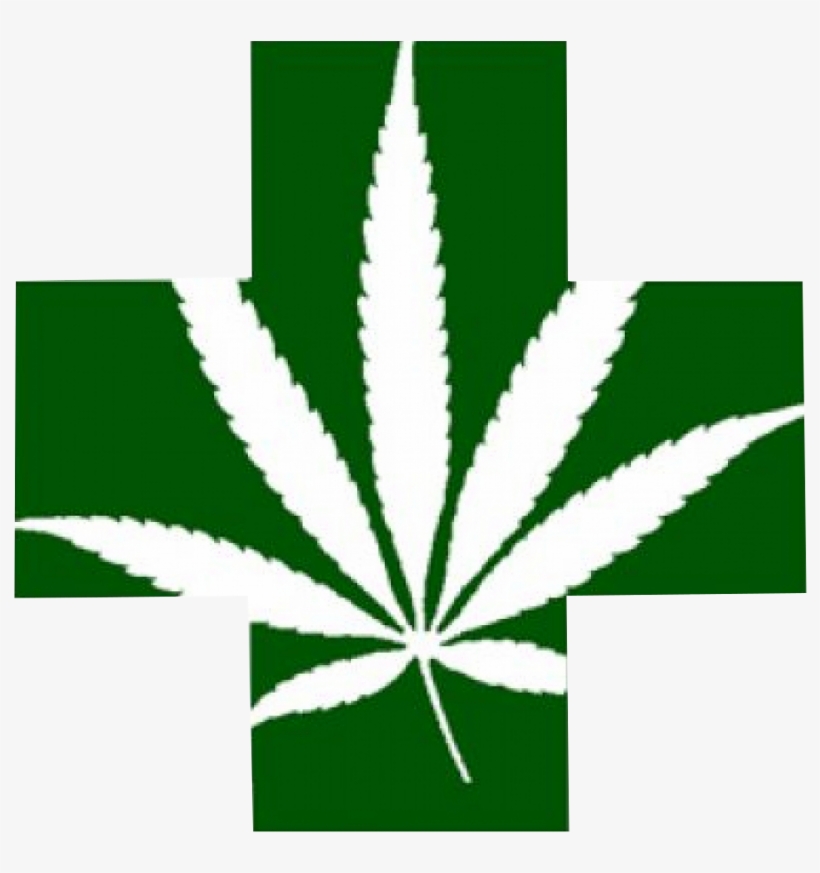 Mmj Green Cross - Marihuana Como Planta Medicinal, transparent png #1079166