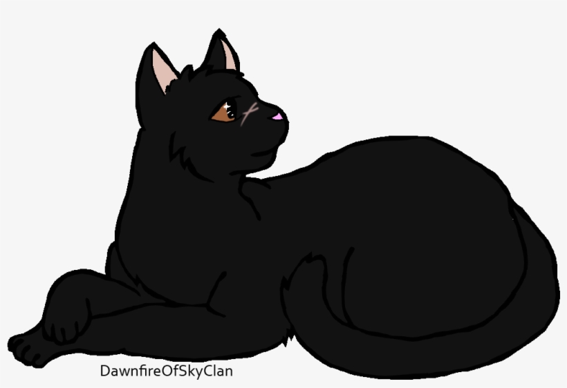 Nightbriar - Star - Wiki, transparent png #1079341