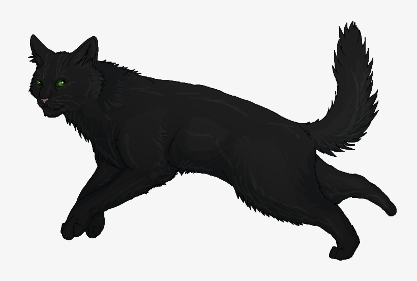More Like Bamboo By Romantepes - Hollyleaf Clipart Warriors, transparent png #1079599