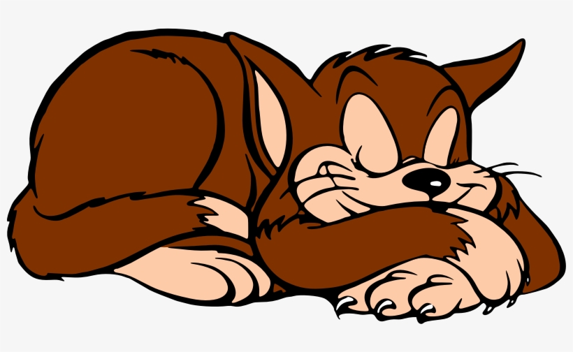 Medium Image - Clipart Of Sleeping Cat, transparent png #1081064