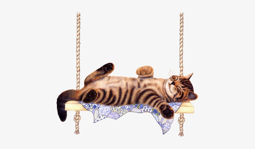 My Cat - 2 Throw Blanket, transparent png #1081171