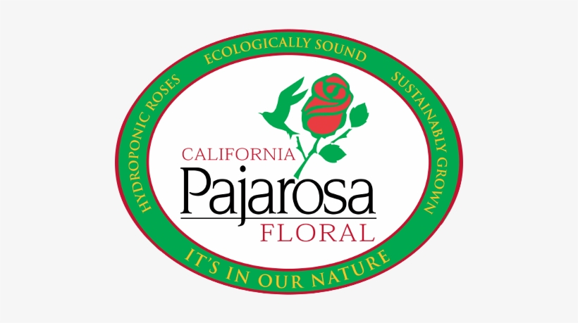 Pajarosa, transparent png #1081295