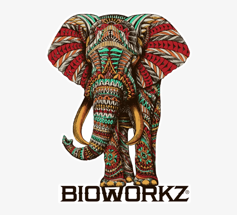 Ornate Elephant Sticker - Elephant Colour In Poster, transparent png #1081358