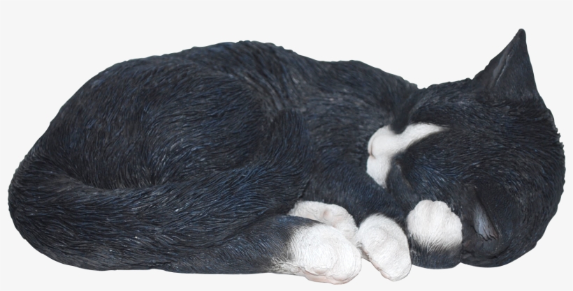 Sleeping Cat Black/whit Real Life Resin Ornament By - Black Cat Sleeping Png, transparent png #1081524