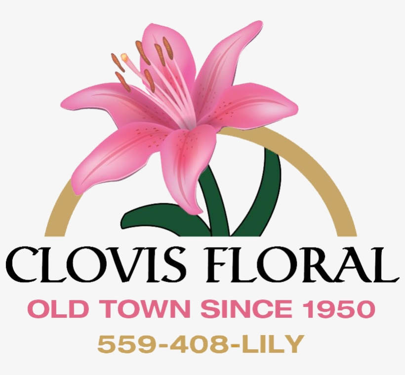 Clovis Floral & Cafe - Lily, transparent png #1081525