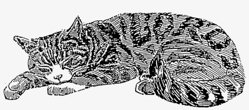 Sleeping Cat Rubber Stamp - Ready-to-use Old-fashioned Cat Illustrations [book], transparent png #1081601