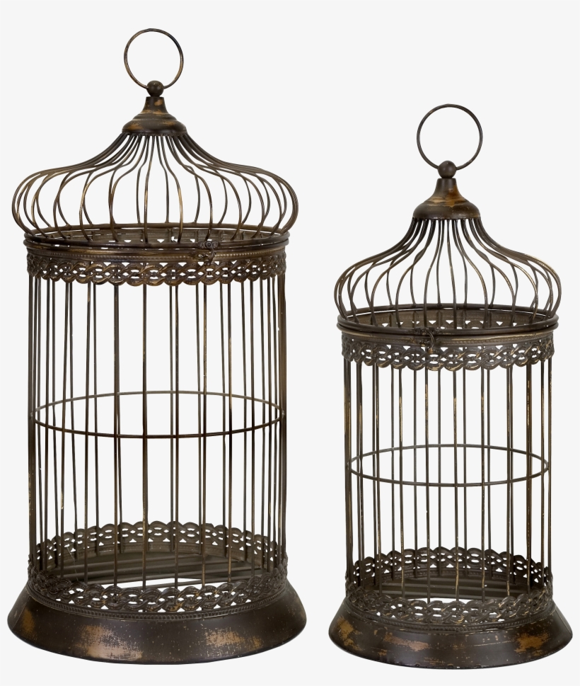 Cage For A Bird, transparent png #1082416