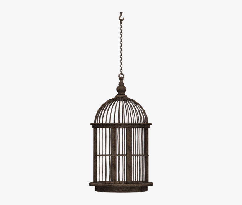 Free Png Bird Cage Png Images Transparent - Hanging Bird Cage Black, transparent png #1082465