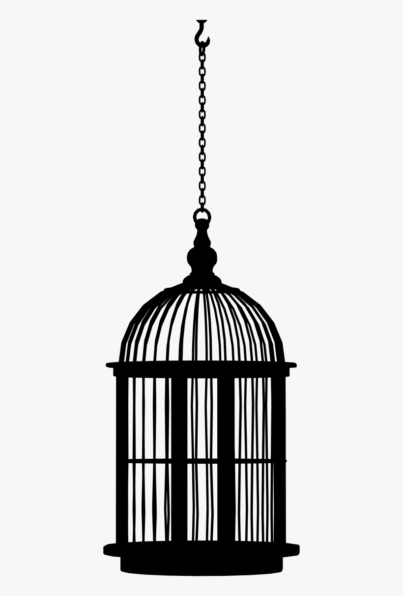 Medium Image - Bird Cage Png, transparent png #1082555