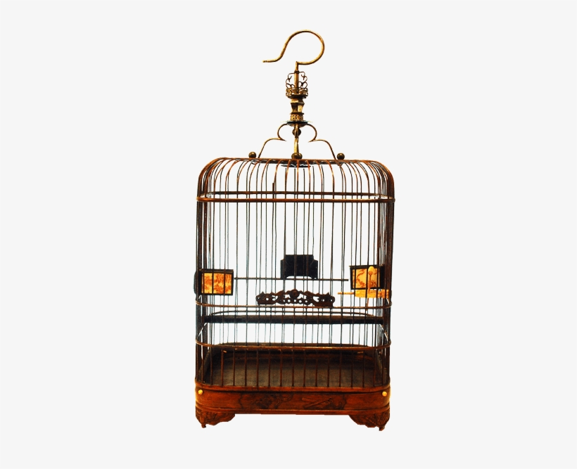 Square Birdcage With Rounded Corners Item Number - Gold, transparent png #1082707