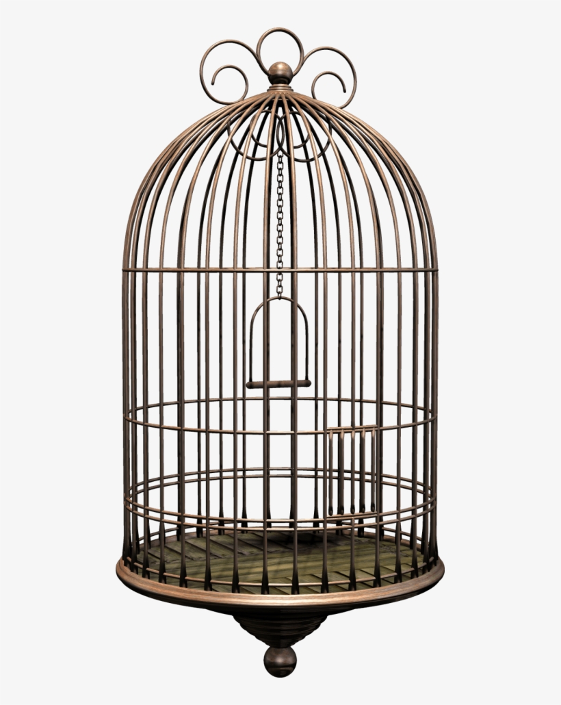 Free Png Bird Cage Png Images Transparent - Dolls House Book Cover Henrikh Ibsen, transparent png #1082826