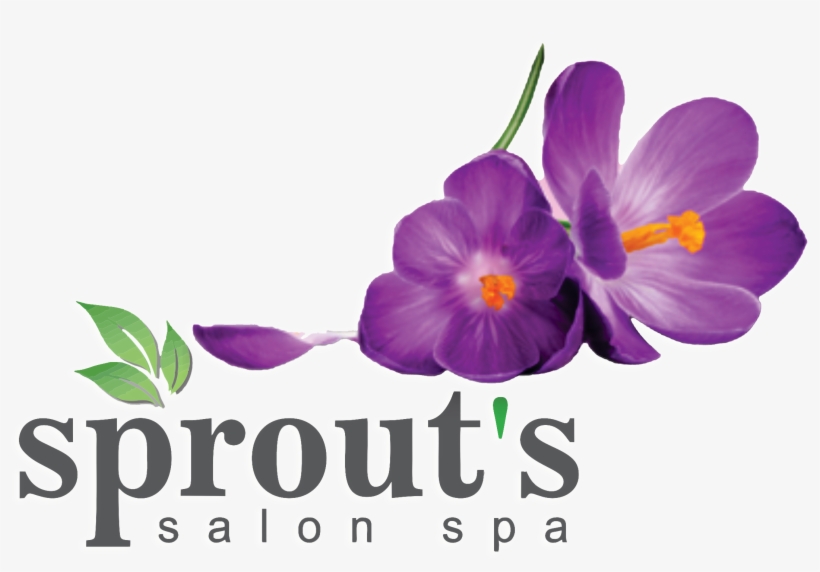 Sprout's Salon & Spa - Esmai Hüsna Allahın Güzel İsimleri Zafer Yayınları, transparent png #1082852
