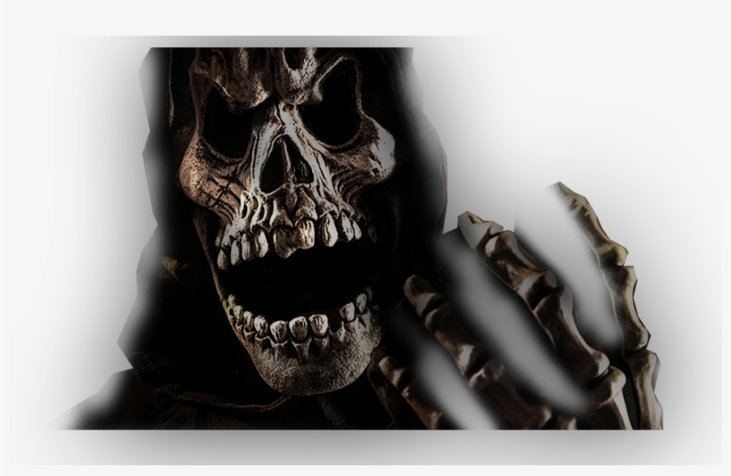 Skull, transparent png #1082894