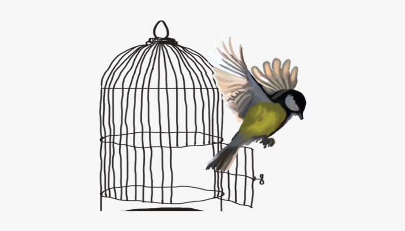 Moda Magazine Style Icon - Budgerigar, transparent png #1082984