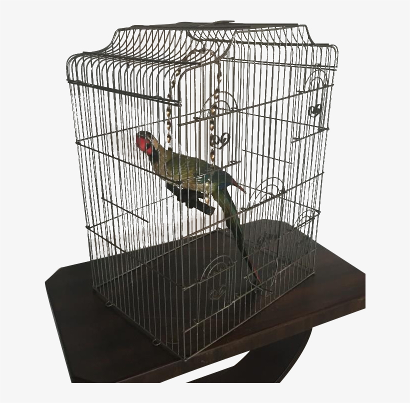Large Wire Birdcage, transparent png #1083072