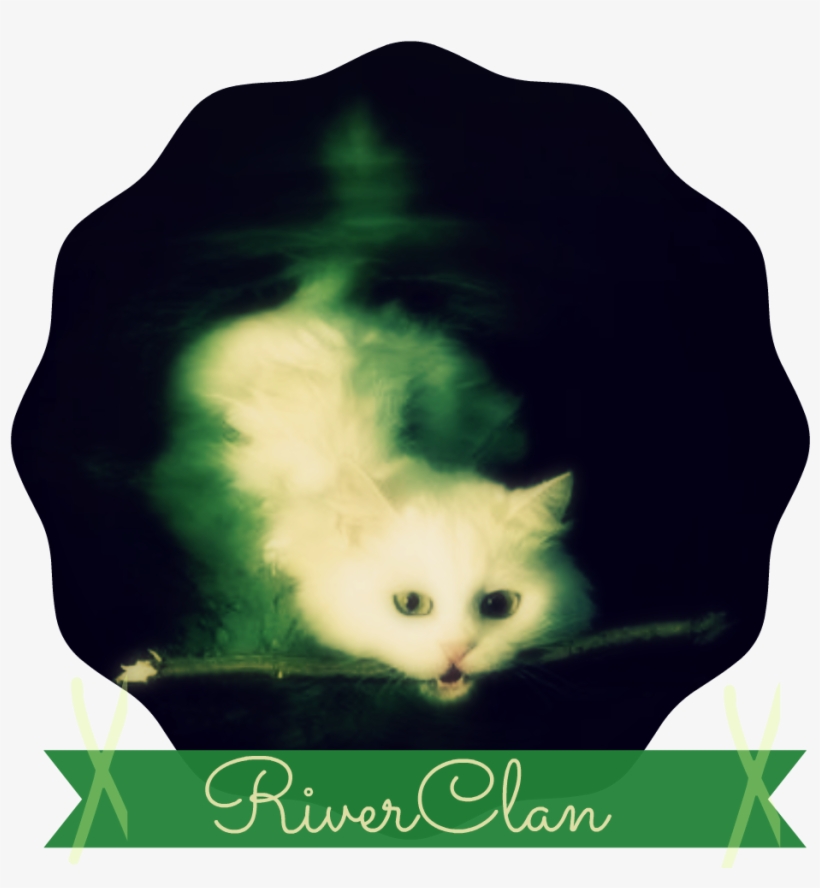 Riverclan Second Banner Fam - Tj Maxx Coupons 2016, transparent png #1083119