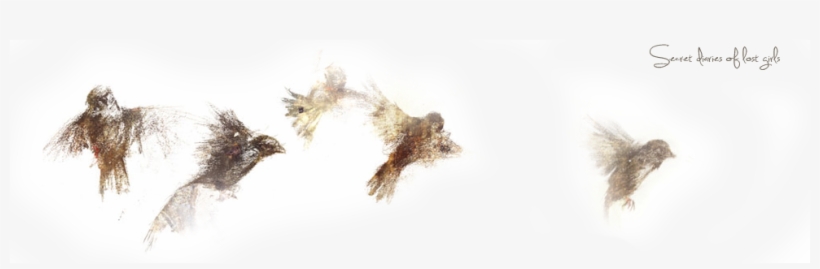 Secret Diaries Of Lost Girls - Macro Photography, transparent png #1083240