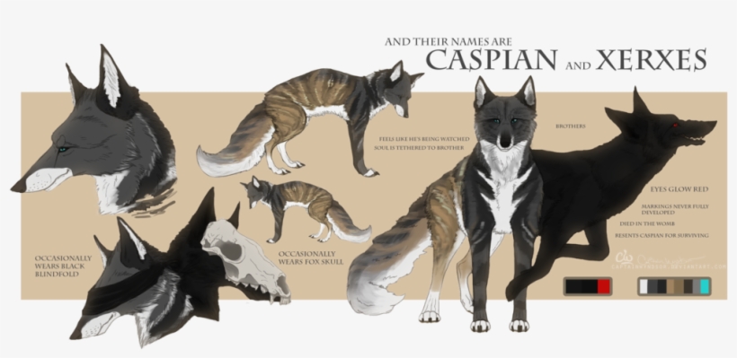 Caspian And Xerxes Ref - Josiah James Chasing The Wind, transparent png #1084088