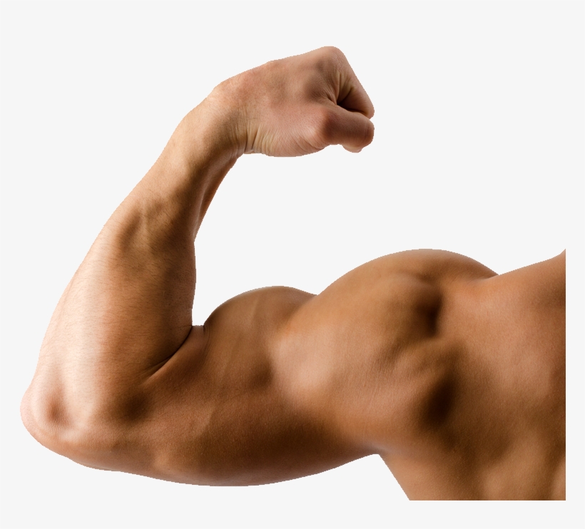 Hand Muscle Png Image Library Library - Make Our Body Strong And Healthy, transparent png #1084776