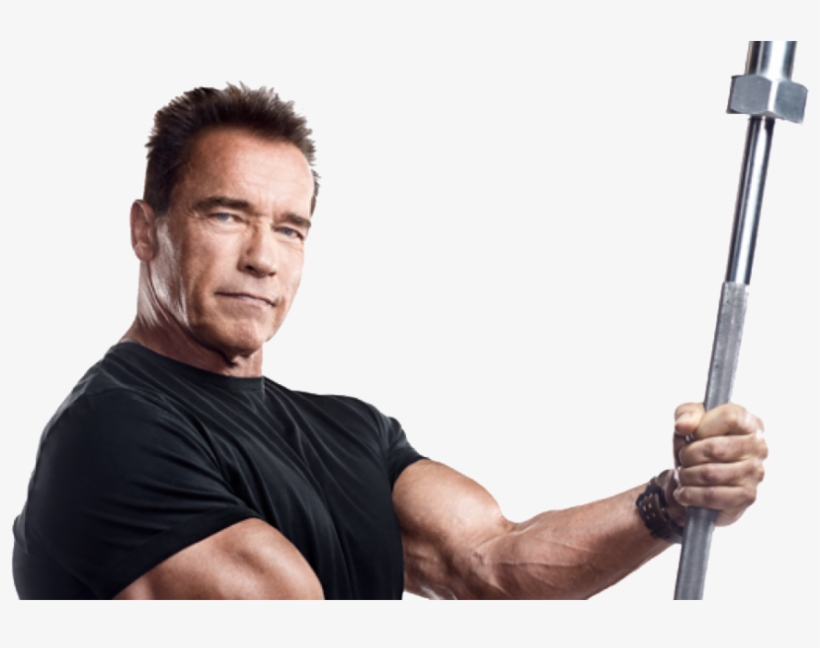 Arnold Schwarzenegger Png Free Download - Arnold Schwarzenegger, transparent png #1084929