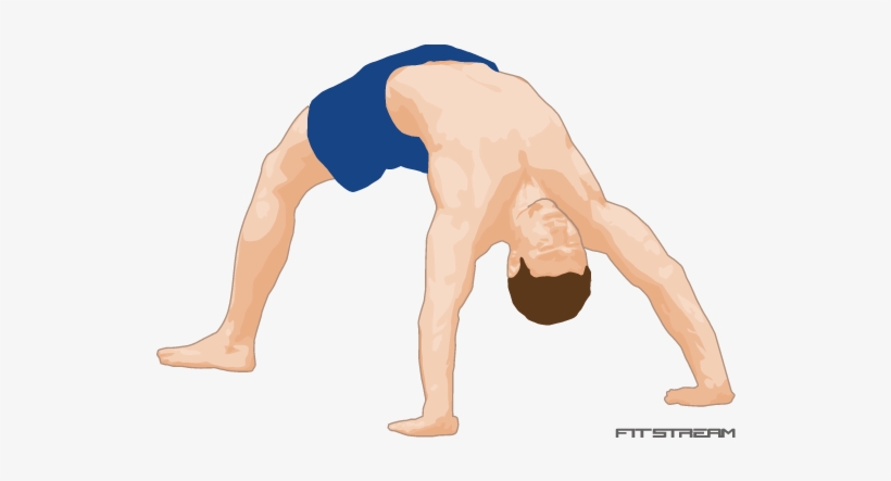 The - Bridge Exercise, transparent png #1085172