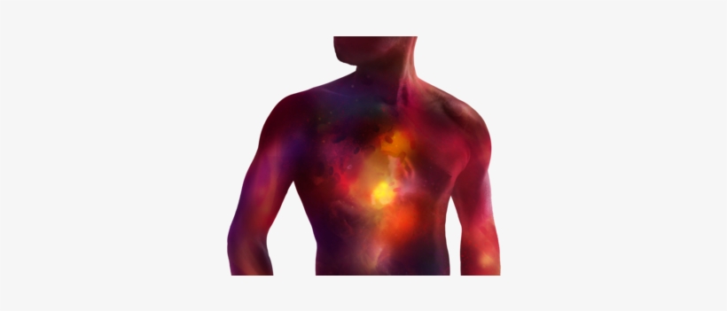 Cardiac Regeneration - Science, transparent png #1085187