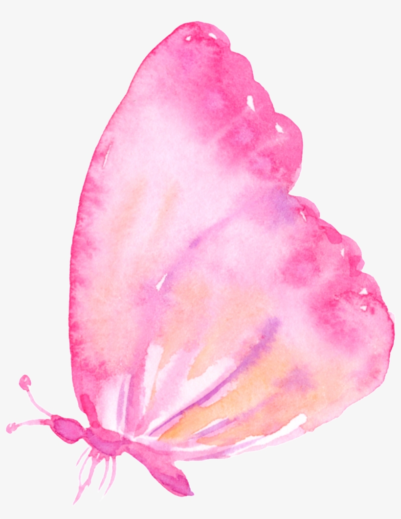 Pink Butterfly Cartoon Transparent - Rosa Borboleta Fundo Transparente, transparent png #1085385