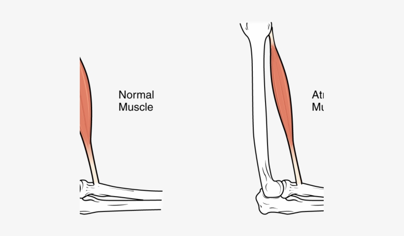 A More Detailed Look Inside - Illustration, transparent png #1085565