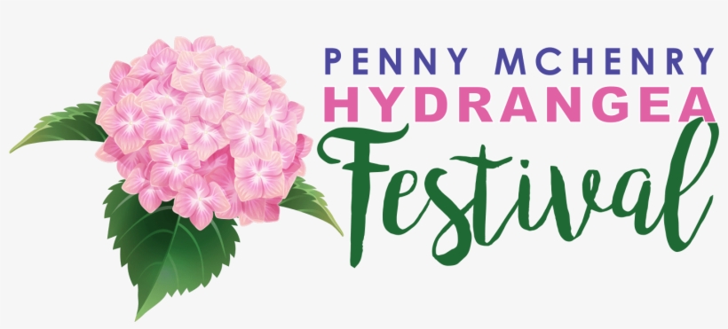 The Penny Mchenry Hydrangea Festival - Asian Paints Nilaya Lemon Appeal Zesty Green Leaves, transparent png #1085709