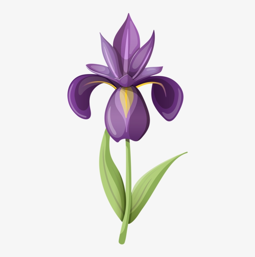 Фото, Автор Soloveika На Яндекс - Iris Flower Clipart, transparent png #1085758