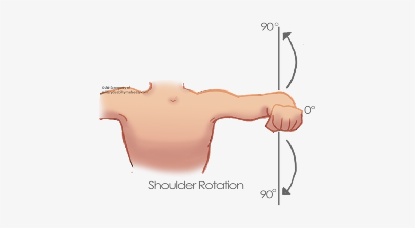 Shoulder Muscle 8 - Rotation Of The Muscle, transparent png #1085812