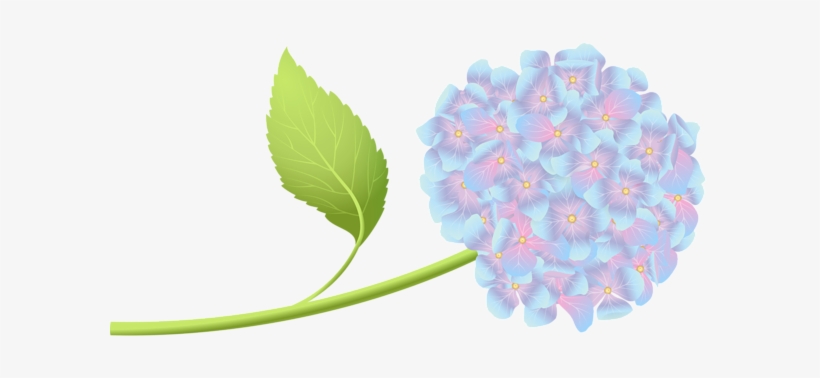 Vector Black And White Hortensia Clip Art Png Image - Portable Network Graphics, transparent png #1085890
