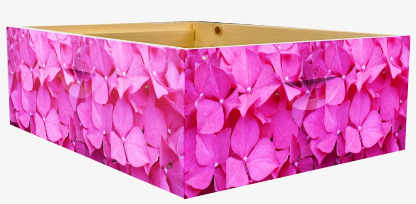 Hydrangea Theme- Medium Super Wrap - Hydrangea, transparent png #1086705