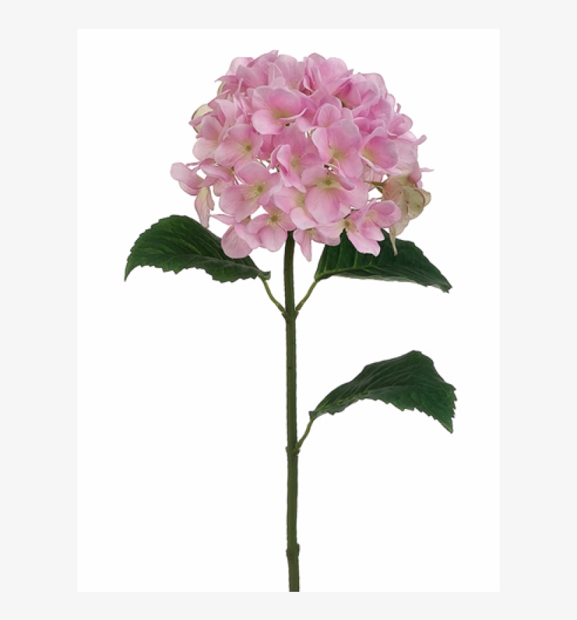 31" Hydrangea Spray Pink Green - Silk Plants Direct Hydrangea Spray - Blue Purple -, transparent png #1087037