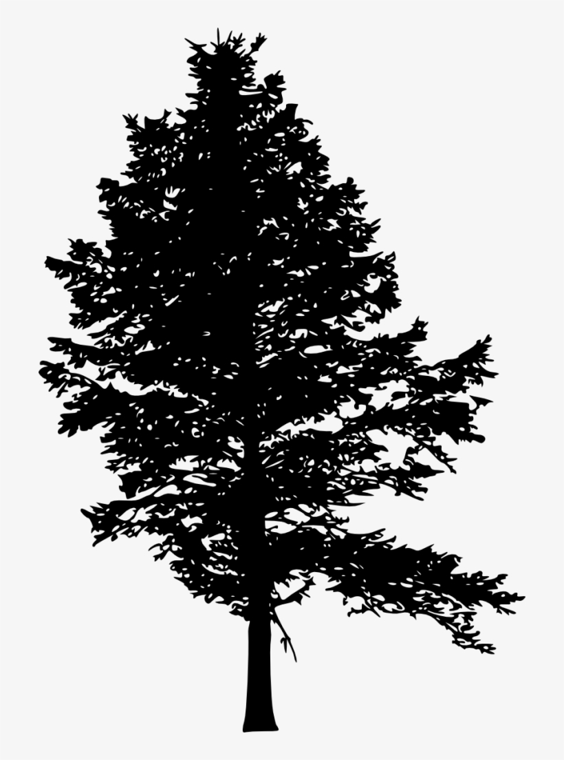 10 Pine Tree Silhouette - Pine Tree Silhouette Png, transparent png #1087464