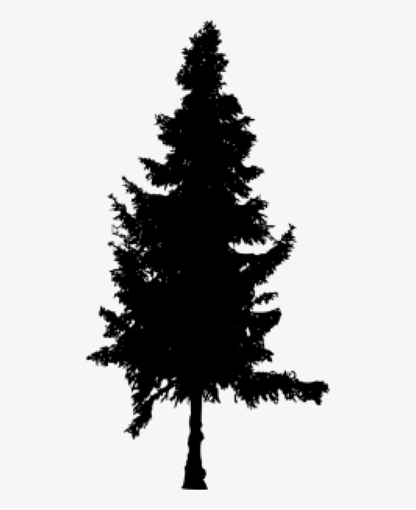 Pine Tree Silhouette Png - Silhouette Pine Tree Png, transparent png #1087495