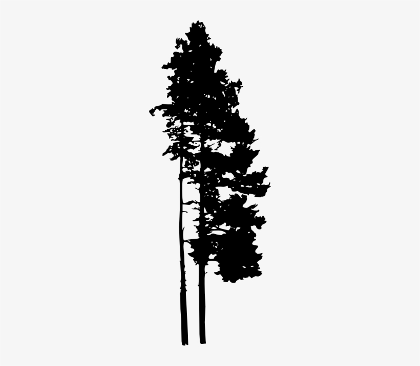 30 Pine Tree Silhouette Png Transparent Vol 2 Onlygfxcom - Portable Network Graphics, transparent png #1087519