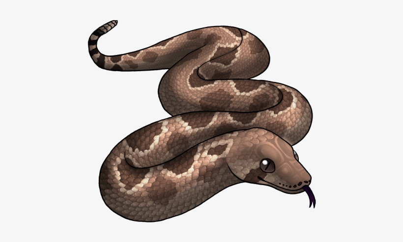 Just The Eye Edit - Serpent, transparent png #1087521