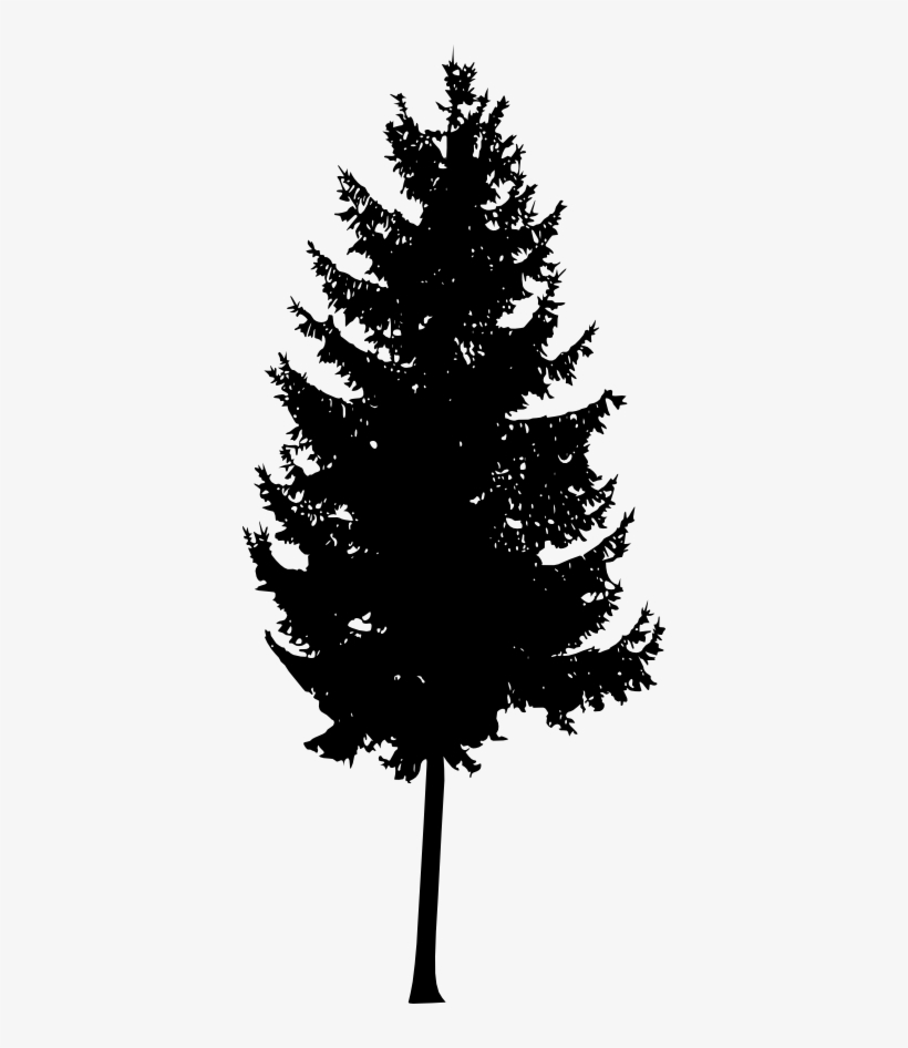 30 Pine Tree Silhouette Vol - Mountain Ash Tree Silhouette, transparent png #1087562