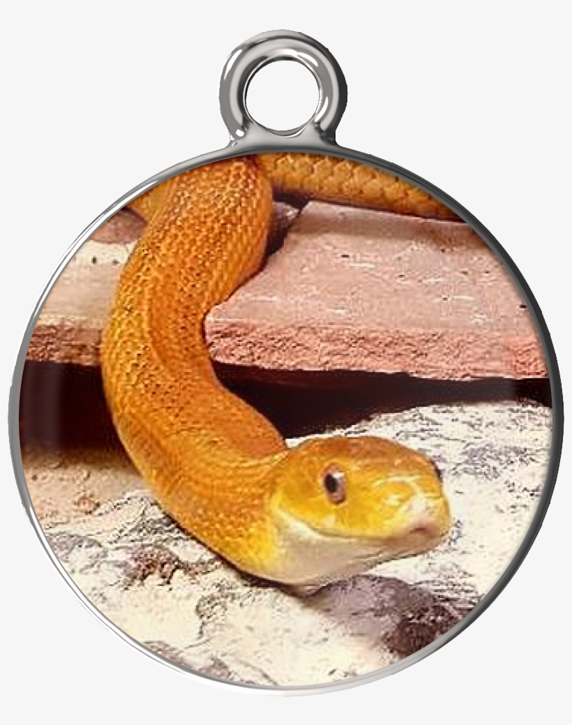 Eye Of The Beholder Charm Bracelet - Serpent, transparent png #1087739